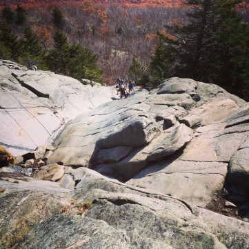 2015-10-31 11.33.18-1